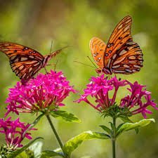  ای قصه گو قصه ای بهتر بنویس